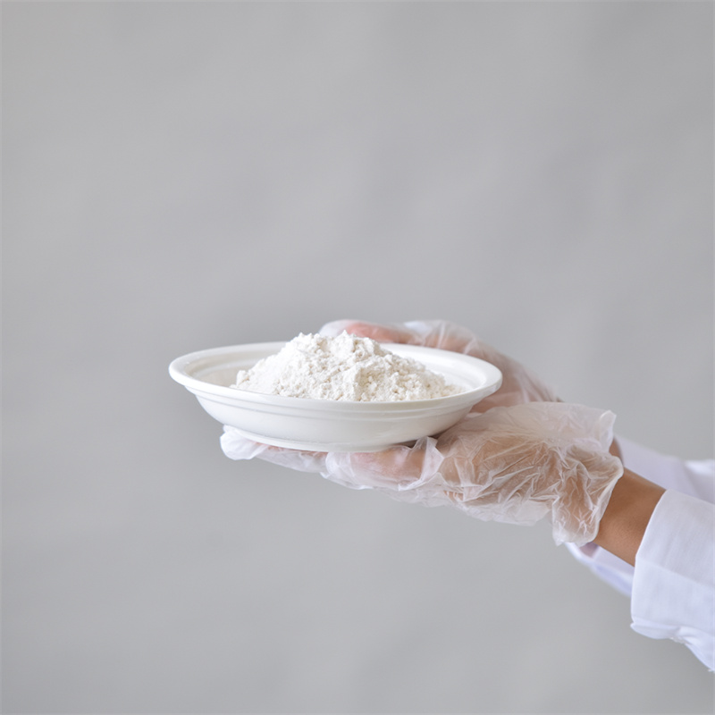 Adenozin 5â-trifosfat dinatrijeva sol CAS 987-65-5