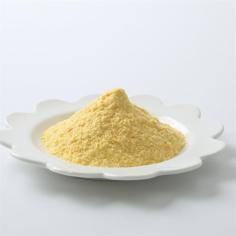 Amfotericin B CAS 1397-89-3